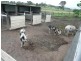 Rathdowney QLD 4287