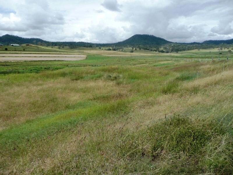 Christmas Creek QLD 4285