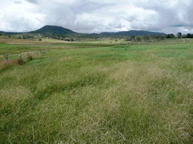 Christmas Creek QLD 4285