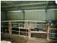 2100 Beaudesert Beenleigh Road, Tamborine QLD 4270