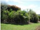 Kooralbyn QLD 4285