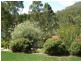 Kooralbyn QLD 4285