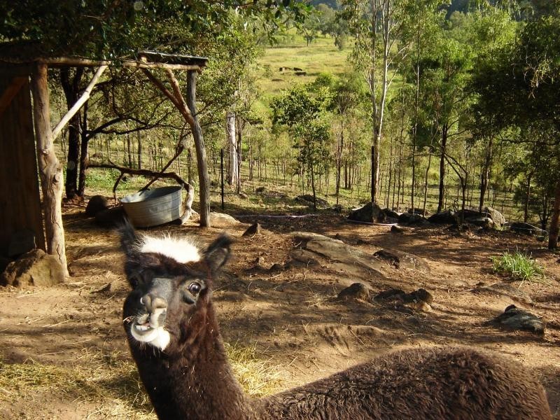 Kooralbyn QLD 4285