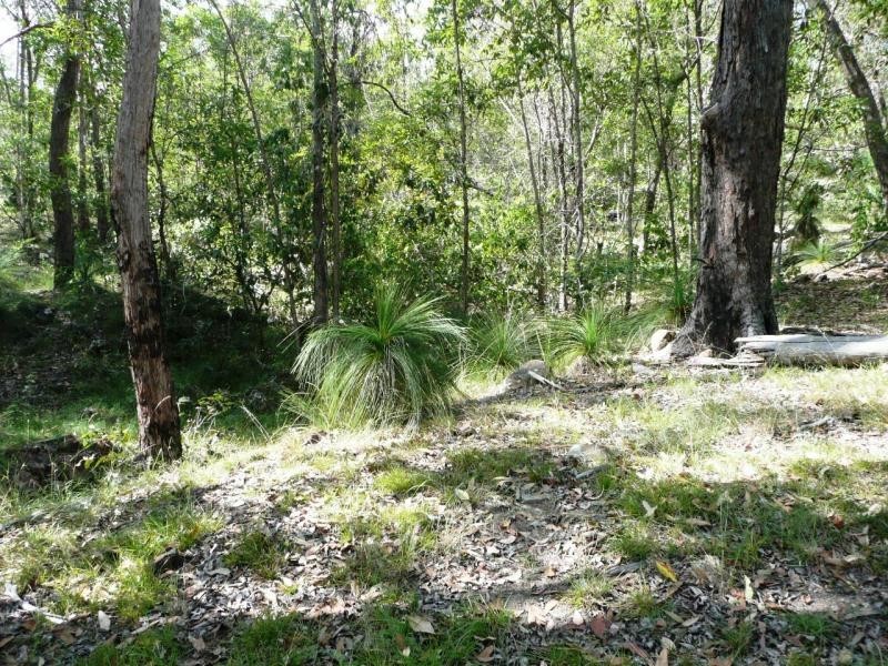 Rathdowney QLD 4287