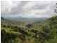 Lot 4 Koplick Rd, Running Creek QLD 4287