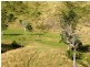 Lot 4 Koplick Rd, Running Creek QLD 4287