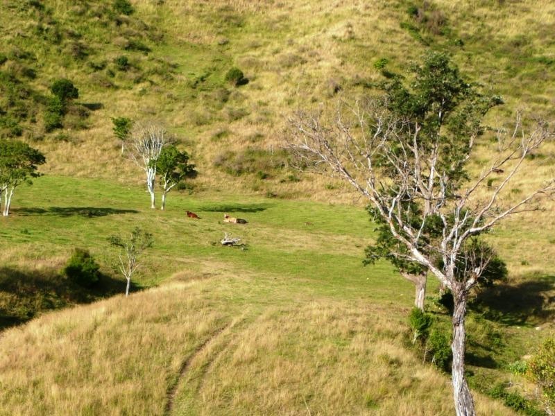 Lot 4 Koplick Rd, Running Creek QLD 4287