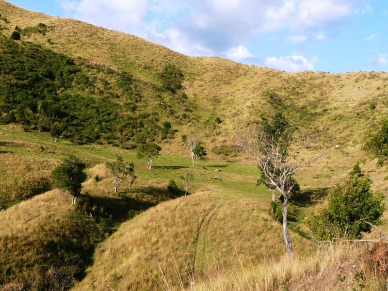 Lot 4 Koplick Rd, Running Creek QLD 4287