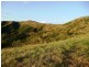 Lot 4 Koplick Rd, Running Creek QLD 4287
