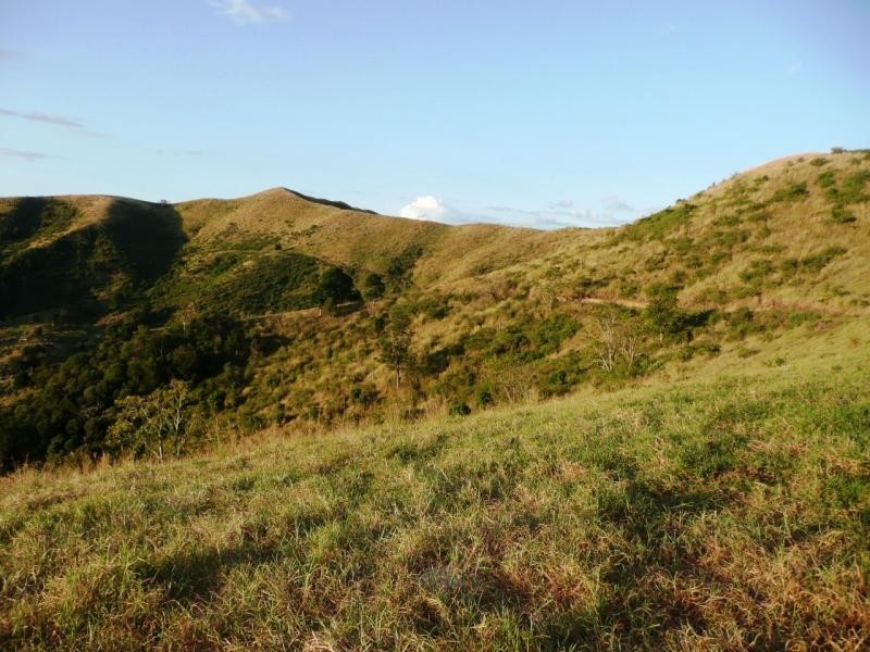Lot 4 Koplick Rd, Running Creek QLD 4287