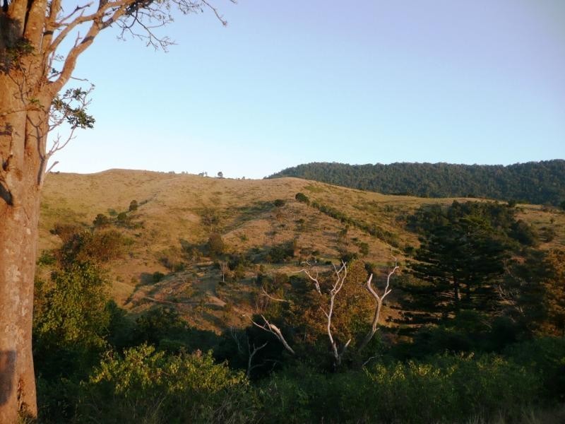 Lot 4 Koplick Rd, Running Creek QLD 4287