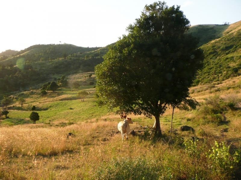 Lot 4 Koplick Rd, Running Creek QLD 4287