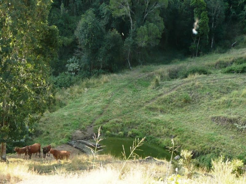 Lot 4 Koplick Rd, Running Creek QLD 4287