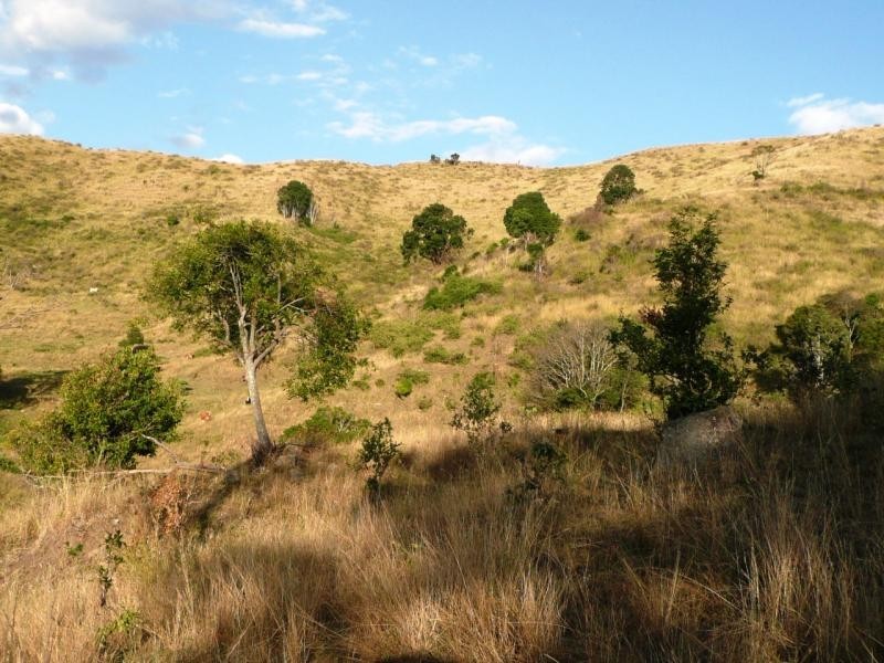 Lot 4 Koplick Rd, Running Creek QLD 4287
