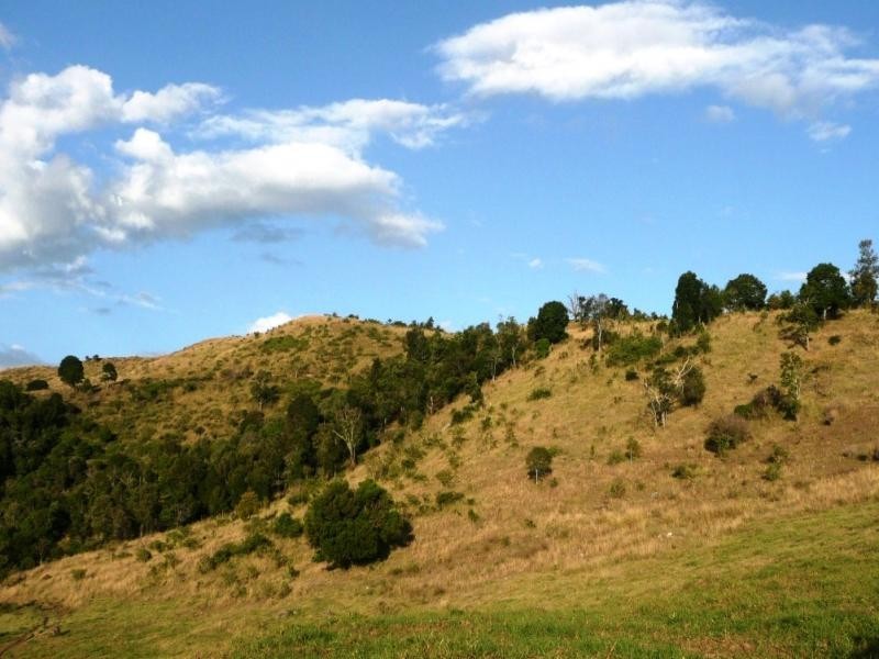 Lot 4 Koplick Rd, Running Creek QLD 4287