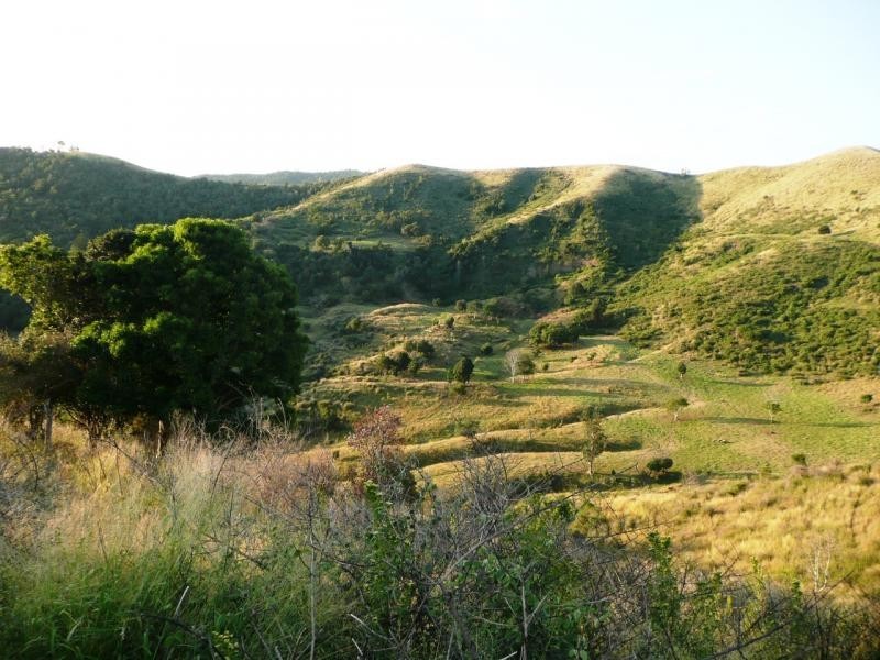 Lot 4 Koplick Rd, Running Creek QLD 4287