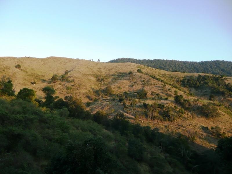 Lot 4 Koplick Rd, Running Creek QLD 4287