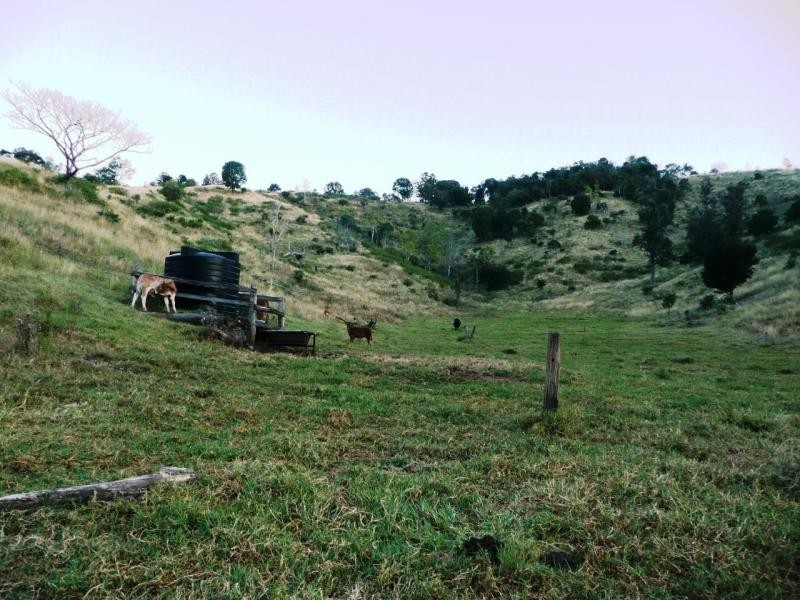 Lot 4 Koplick Rd, Running Creek QLD 4287