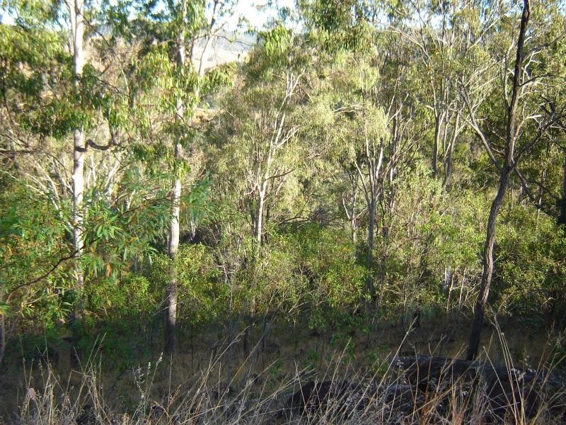 Kooralbyn QLD 4285