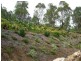 Kooralbyn QLD 4285