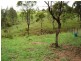 Kooralbyn QLD 4285