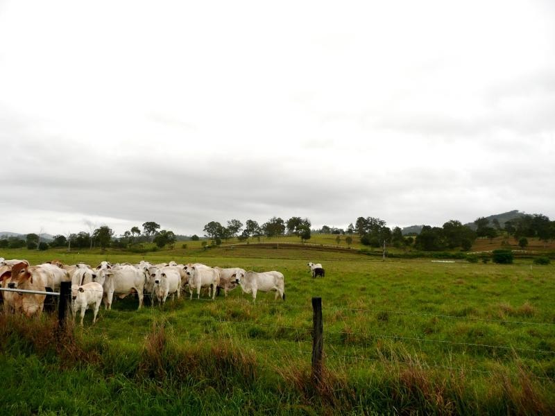 Laravale QLD 4285