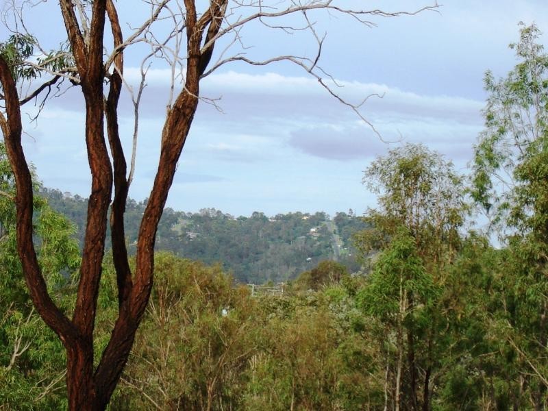 Kooralbyn QLD 4285