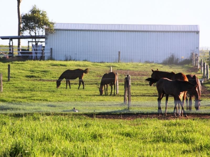 363 Round Mountain road, Laravale QLD 4285