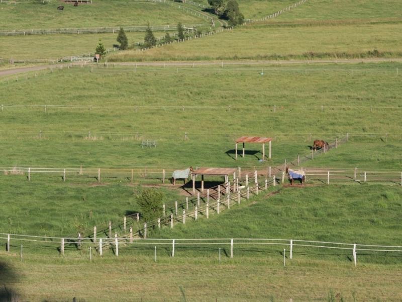 363 Round Mountain road, Laravale QLD 4285