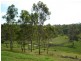 Kooralbyn QLD 4285