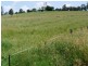 Christmas Creek QLD 4285