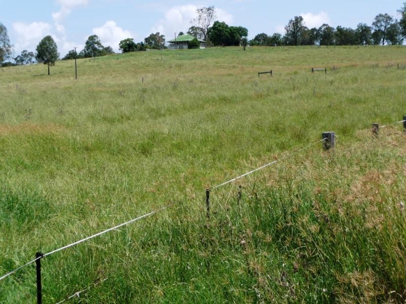 Christmas Creek QLD 4285