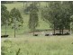 Christmas Creek QLD 4285
