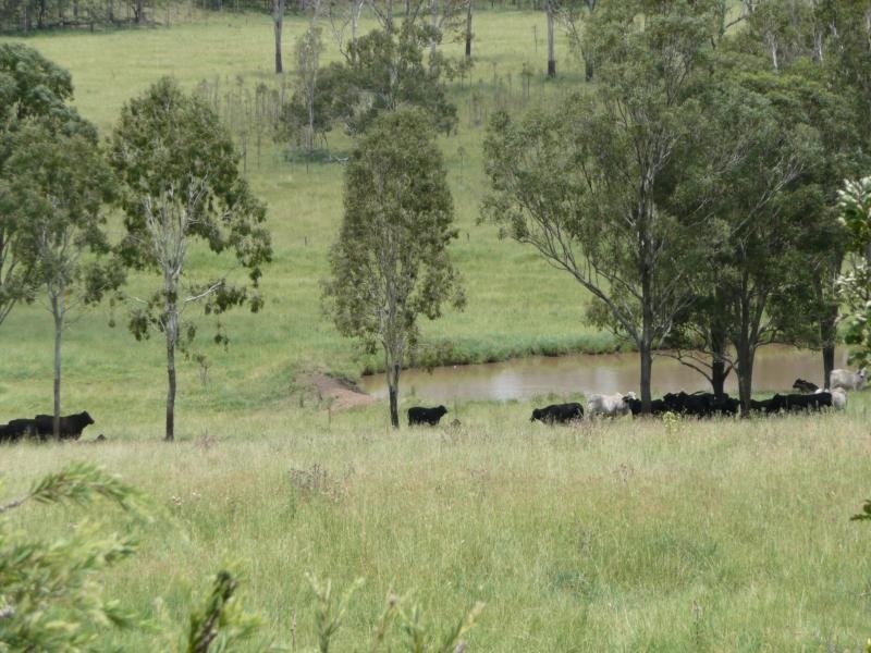 Christmas Creek QLD 4285