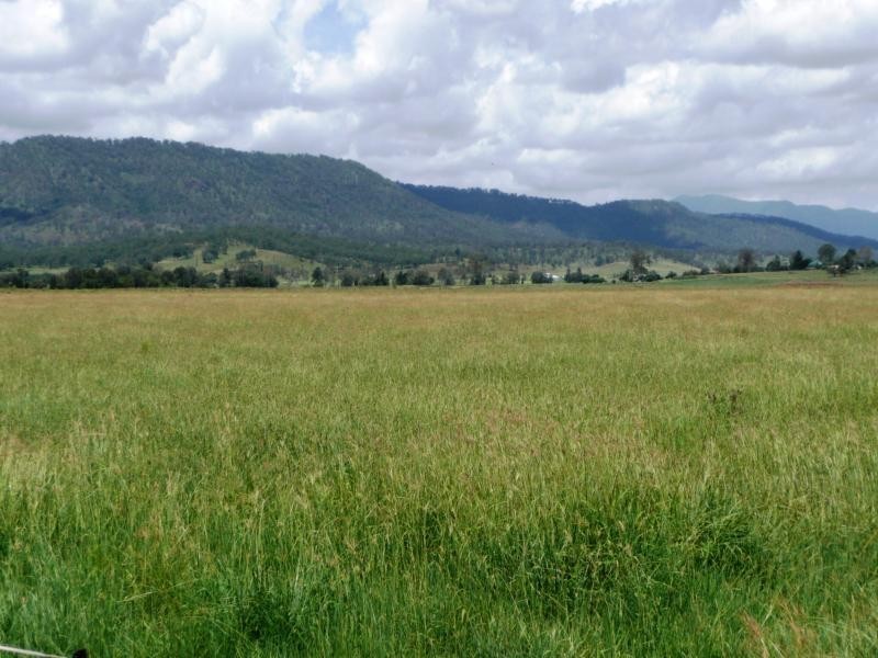Christmas Creek QLD 4285