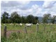 Christmas Creek QLD 4285