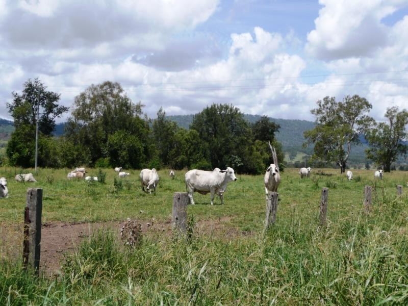 Christmas Creek QLD 4285