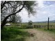 Christmas Creek QLD 4285