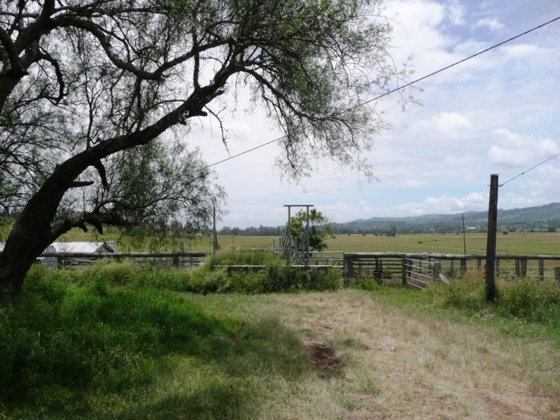 Christmas Creek QLD 4285