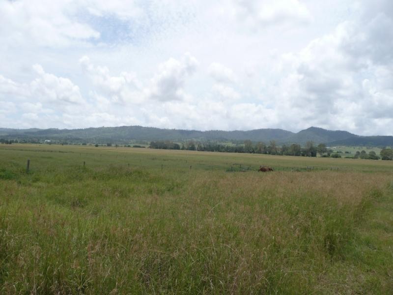 Christmas Creek QLD 4285