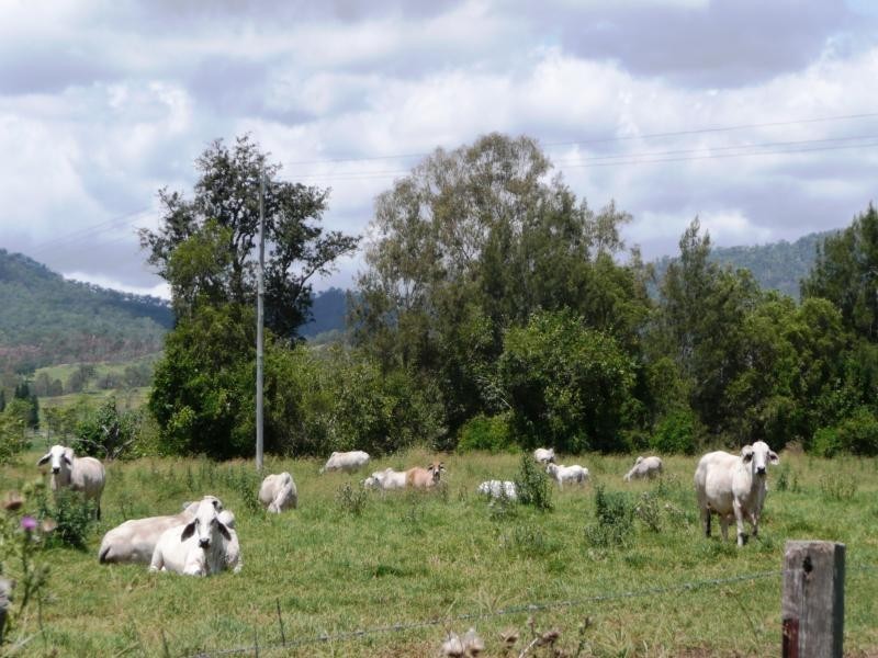 Christmas Creek QLD 4285