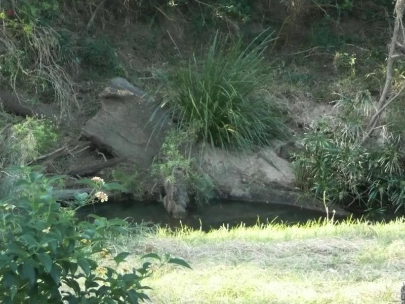 0 Kooralbyn Road, Kooralbyn QLD 4285