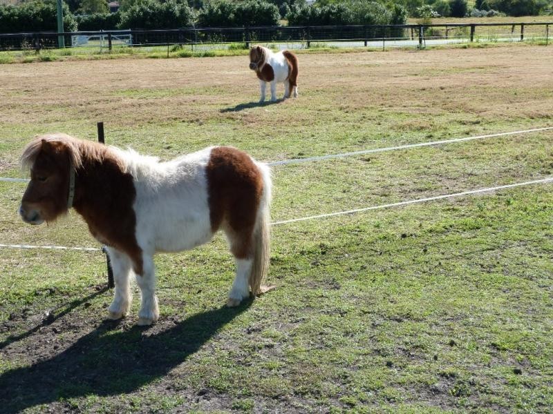 1-21 Remould, Veresdale QLD 4285