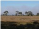 Laravale QLD 4285