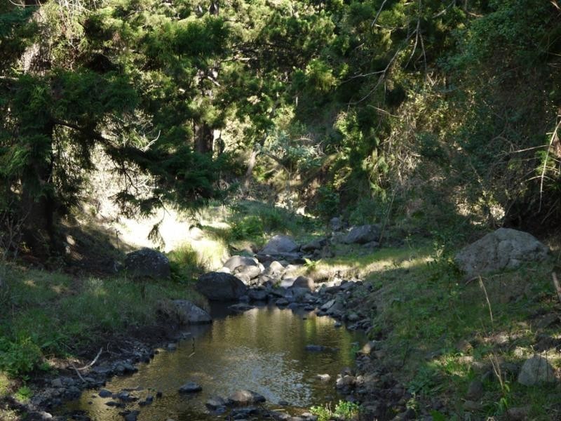 Lamington QLD 4285