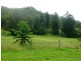 Lamington QLD 4285