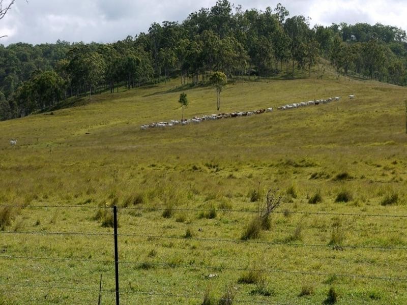 Oaky Scrub Road, Innisplain QLD 4285