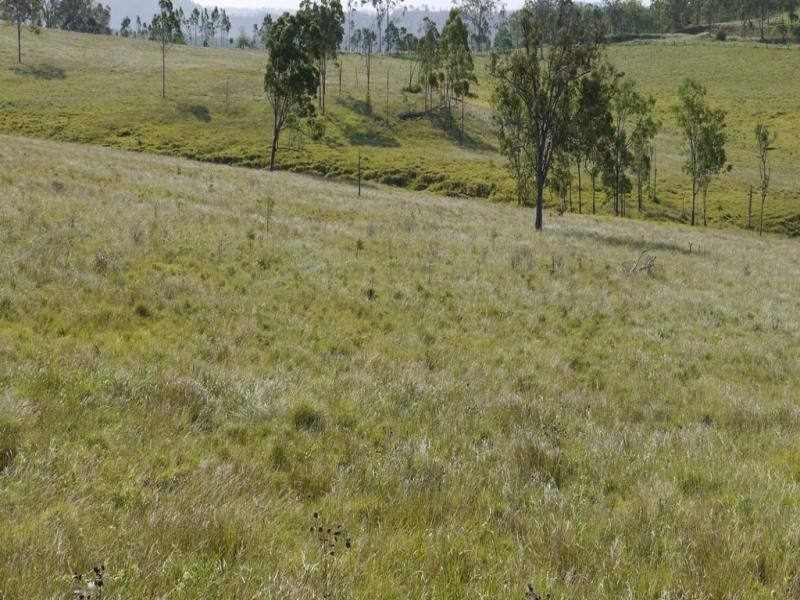 Oaky Scrub Road, Innisplain QLD 4285