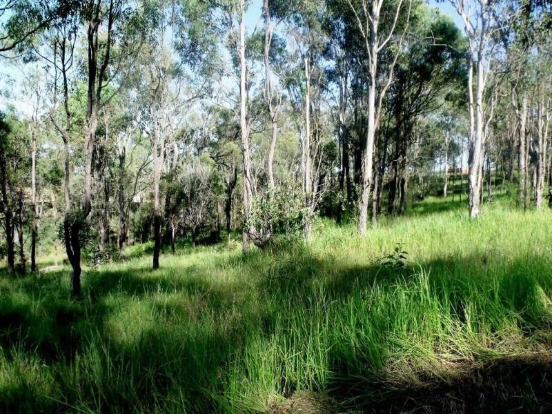 Kooralbyn QLD 4285