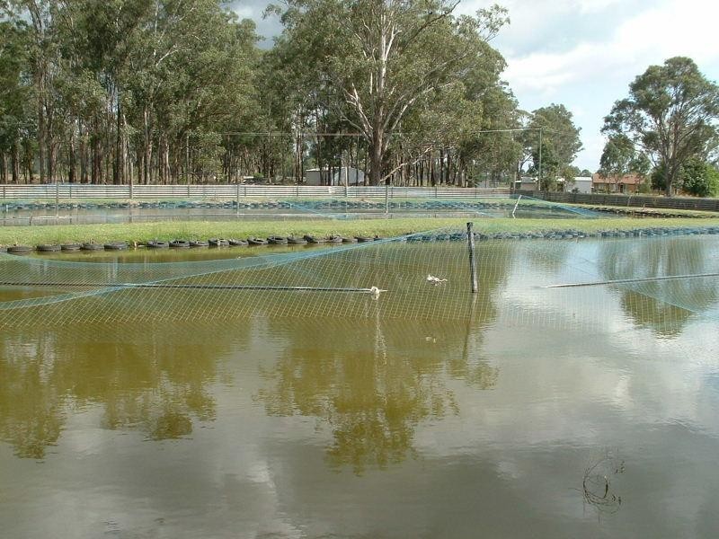 Beaudesert QLD 4285